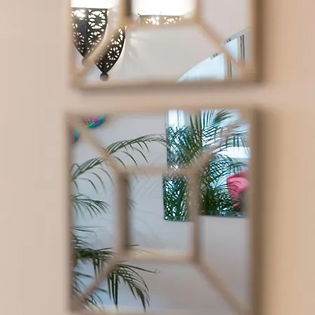 Apartment Side Up Exclusive *