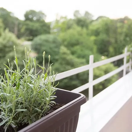 Side Up Exclusive Appartement Belgrado