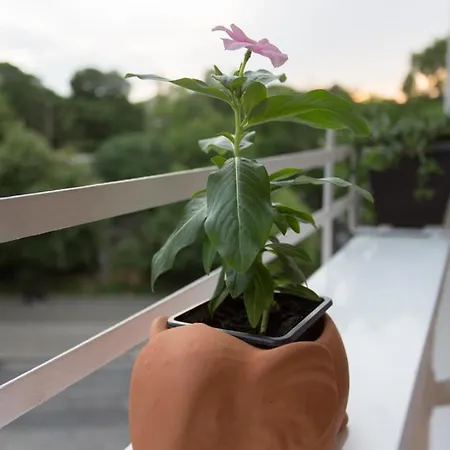 Appartement Side Up Exclusive Belgrado