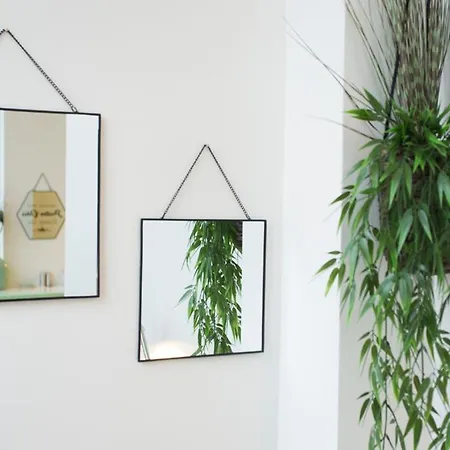 Daire Side Up Exclusive